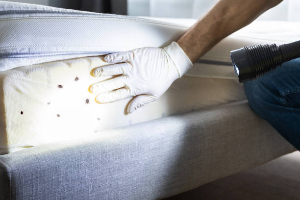 Best Best Pest Control Companies  in Coatesville, PA